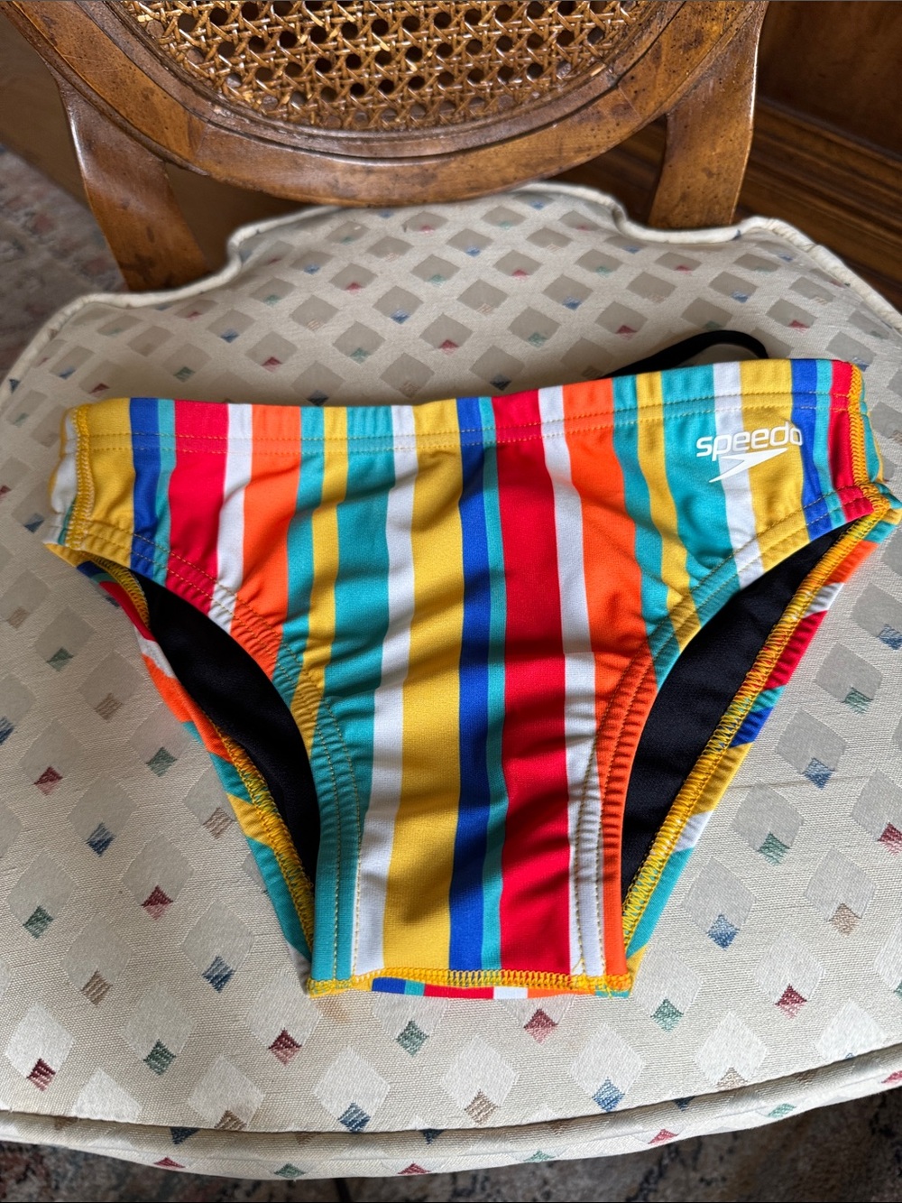Speedo Endurance Bright Multicolor Stripe Swim Briefs